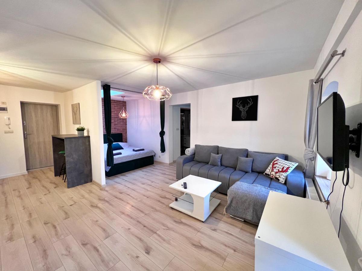 Apartament W Samym Centrum Jeleniej Gory 耶莱尼亚古拉 外观 照片