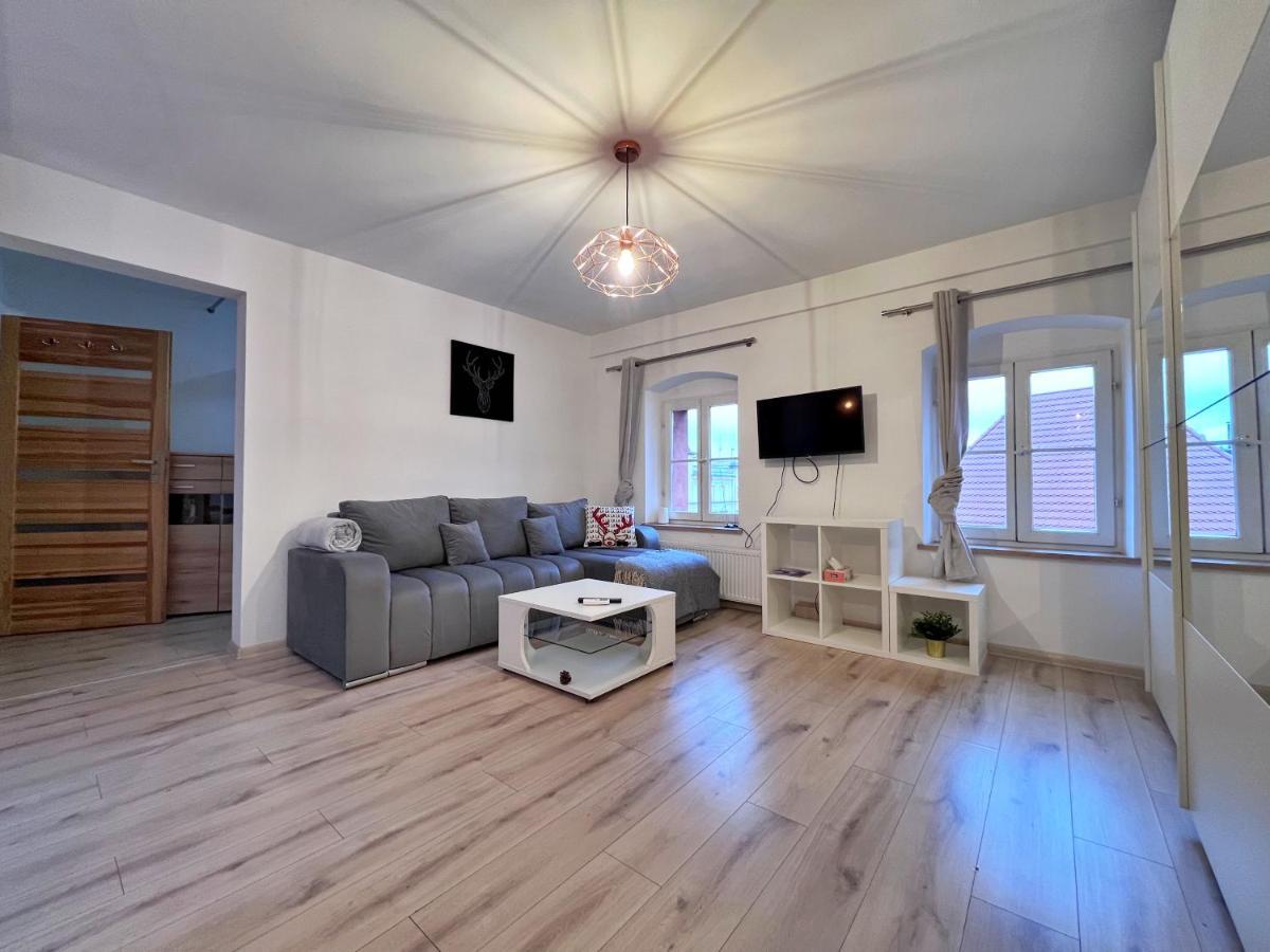 Apartament W Samym Centrum Jeleniej Gory 耶莱尼亚古拉 外观 照片